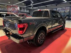 فۆرد F-150